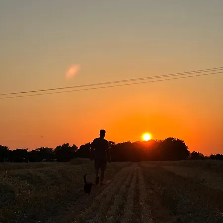 Kernsaniertes Haus In Der * Sumte