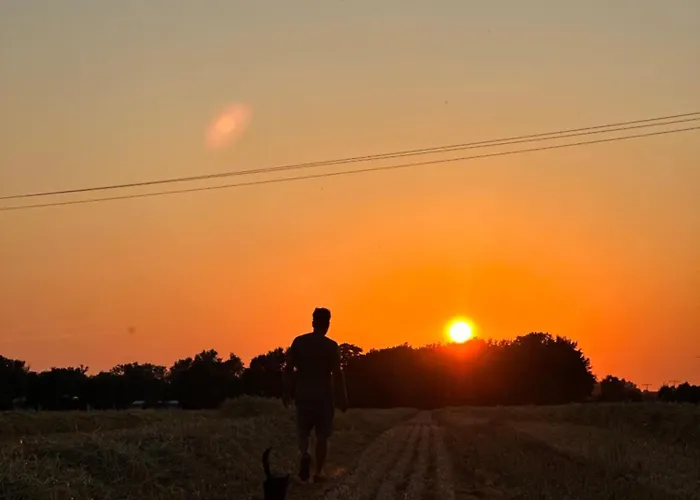 Kernsaniertes Haus In Der * Sumte