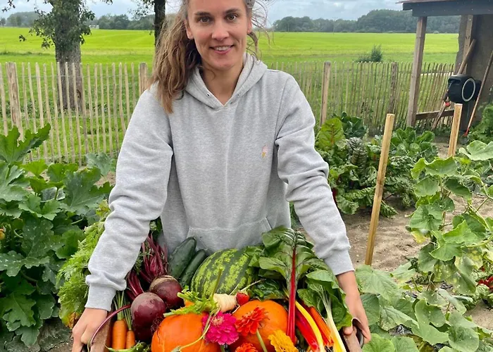 Kernsaniertes Haus In Der